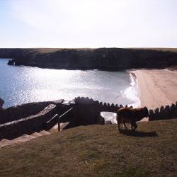 barafundle-bay