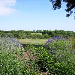 View from Little Loveston